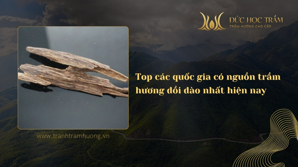 Top các quốc gia có nguồn trầm hương dồi dào nhất hiện nay