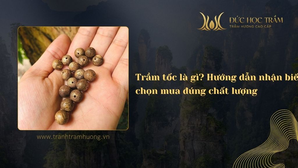Trầm tốc là gì? Hướng dẫn nhận biết và chọn mua đúng chất lượng