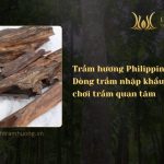 Trầm hương Philippines – Dòng trầm nhập khẩu được giới chơi trầm quan tâm