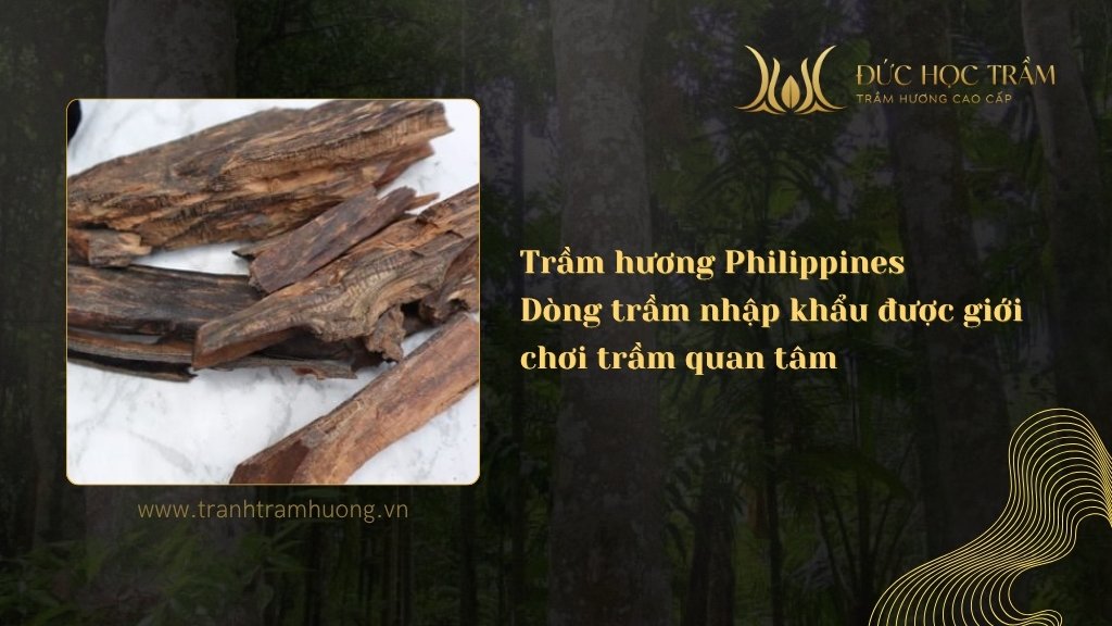 Trầm hương Philippines – Dòng trầm nhập khẩu được giới chơi trầm quan tâm