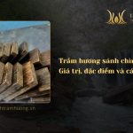 Trầm hương sánh chìm – Giá trị, đặc điểm và cách nhận biết chuẩn