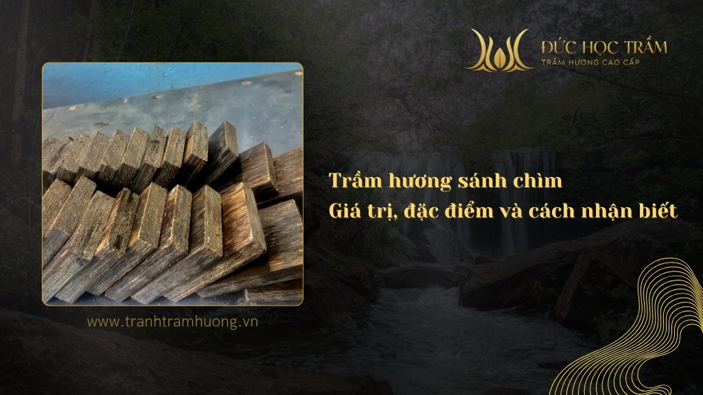 Trầm hương sánh chìm – Giá trị, đặc điểm và cách nhận biết chuẩn